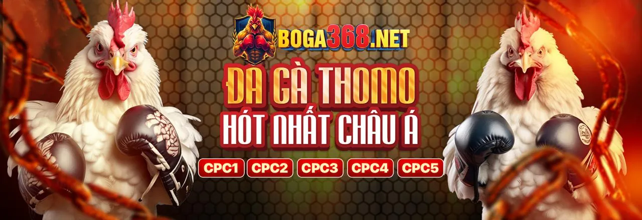 Đá gà trực tuyến Winclub